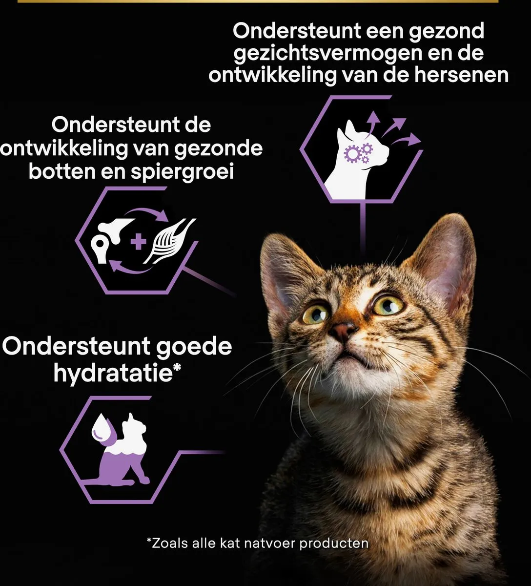 Pro Plan Kitten Mousse Kip - 24x85g