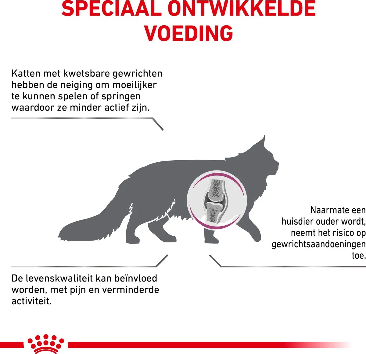 Royal Canin Veterinary Diet Mobility Kattenvoer 2kg