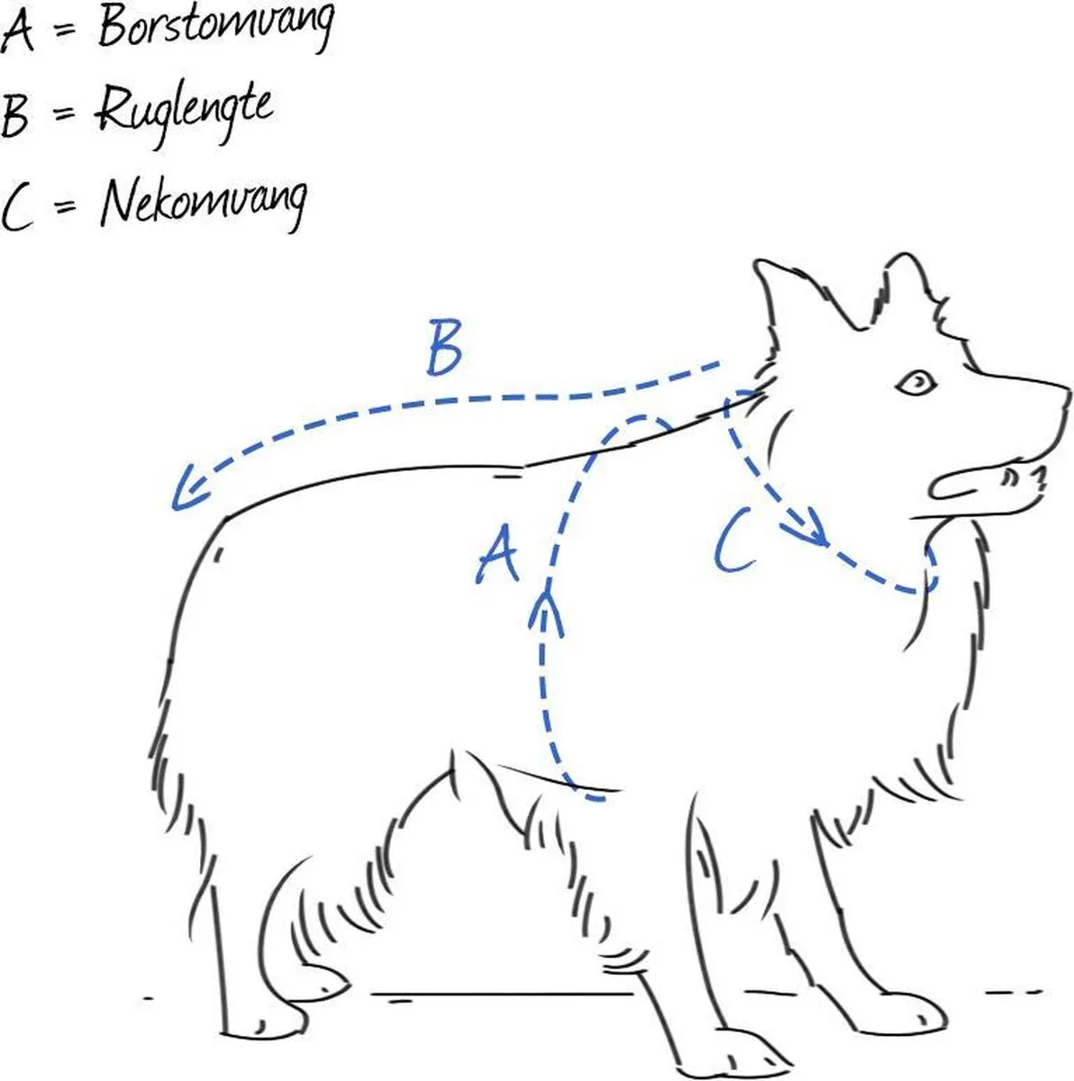 Beeztees Diamond Borsttuig - Roze - Maat L
