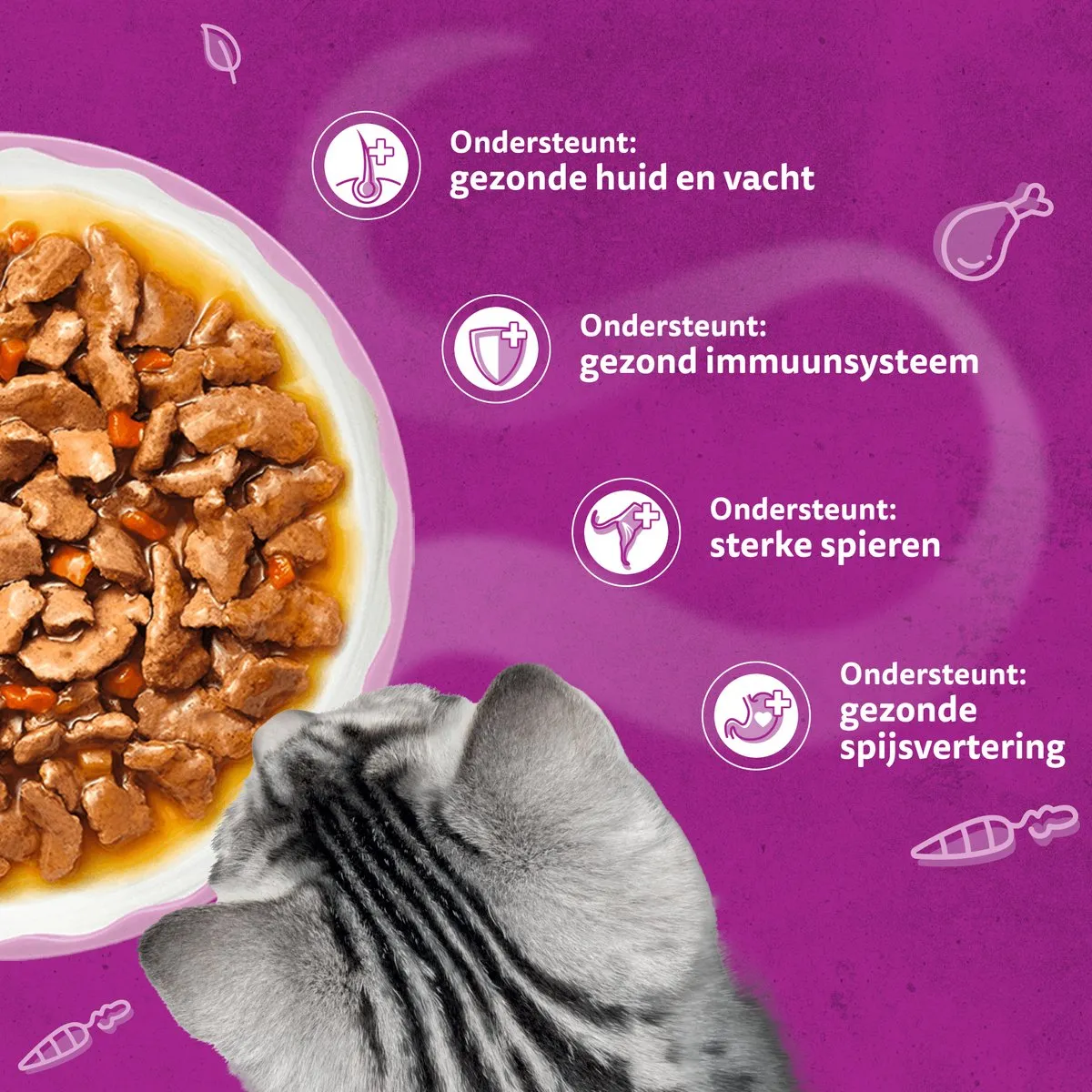 Whiskas Adult 1+ Aromatics in Saus Kattenvoer - 48x85g