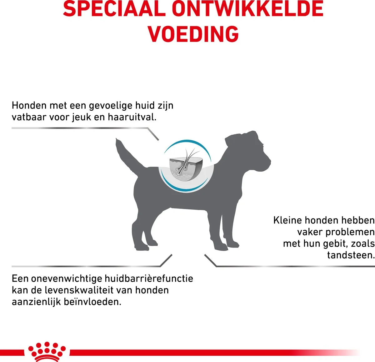 Royal Canin Veterinary Diet Skin Care Small Dog Hondenvoer 4kg