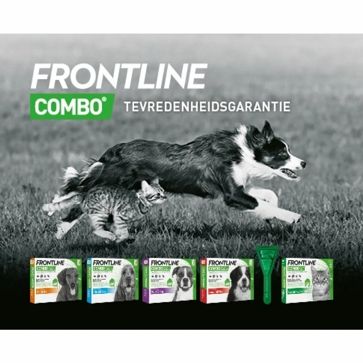Frontline Combo Spot On Kat 12g - 2x6 Pipetten