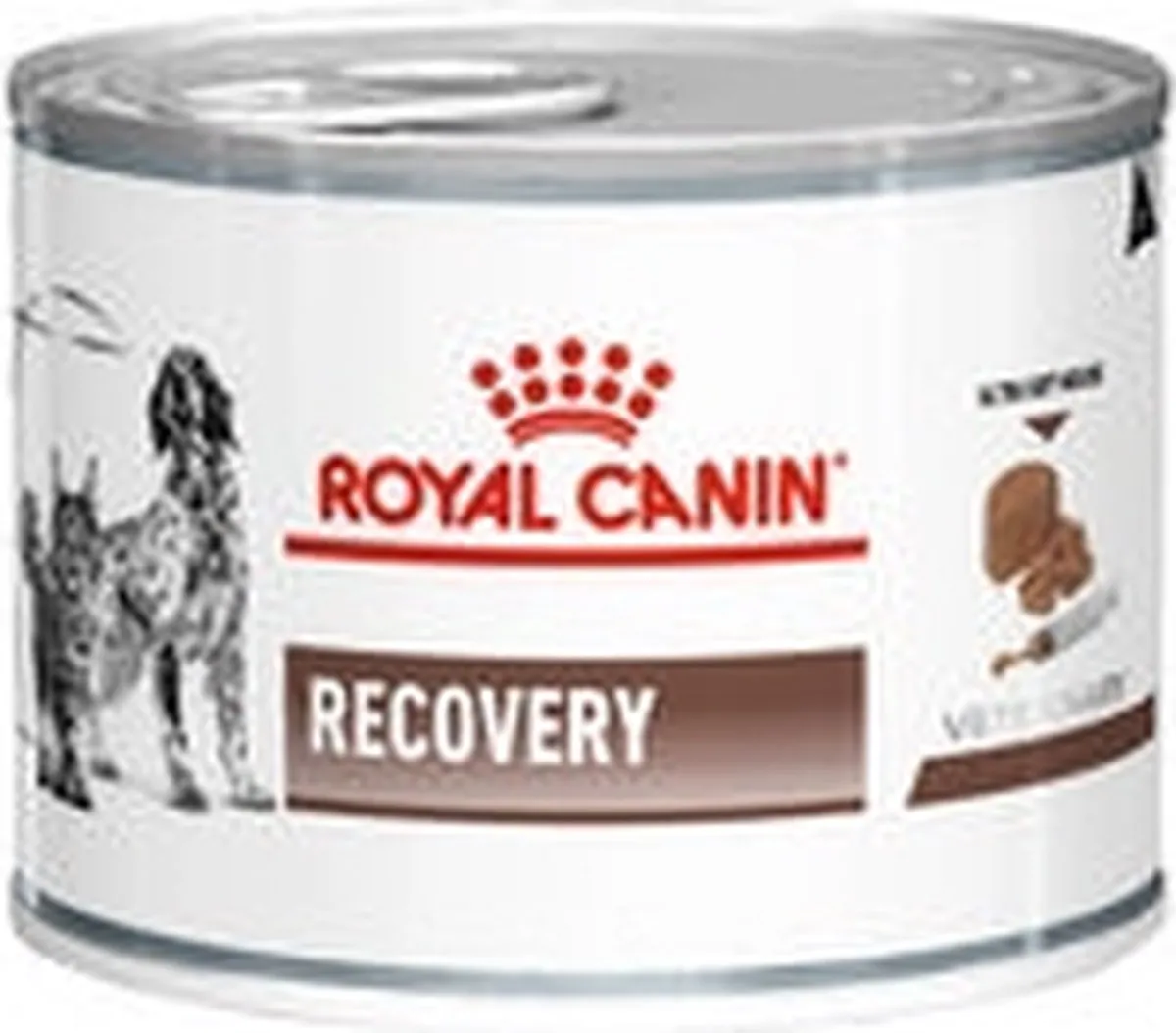 Royal Canin Recovery 12x195g