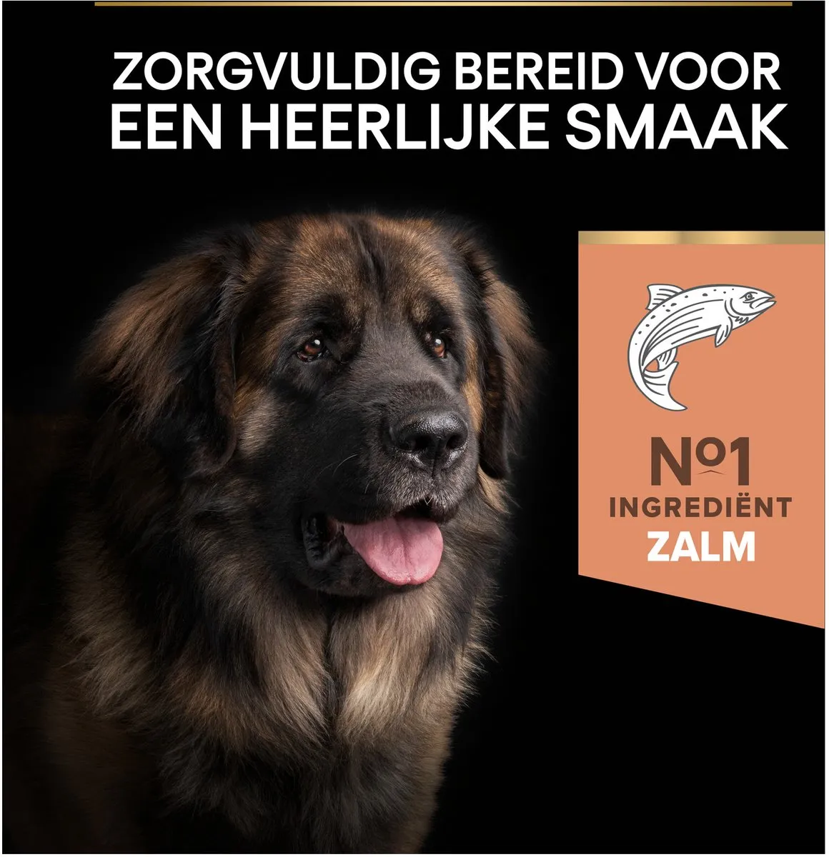Pro Plan Sensitive Skin Large Robust Adult Hondenvoer Zalm 14kg