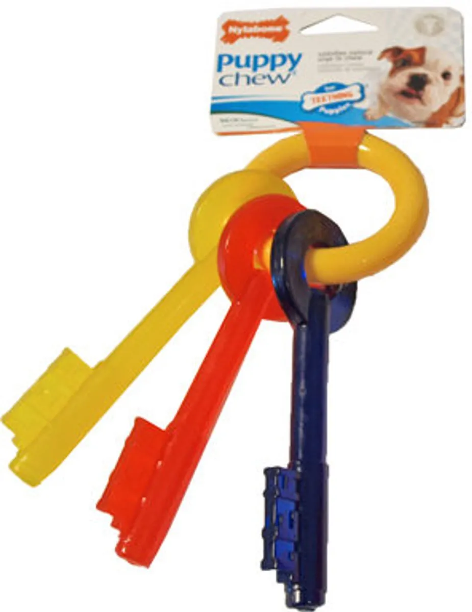 Flexi Nylabone Puppy Teething Key - Geel/Blauw/Rood
