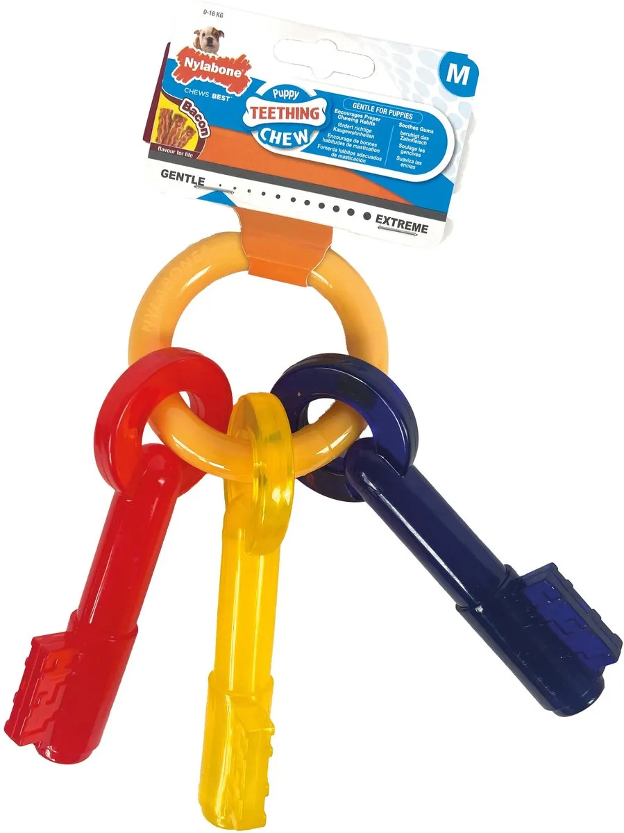 Flexi Nylabone Puppy Teething Key