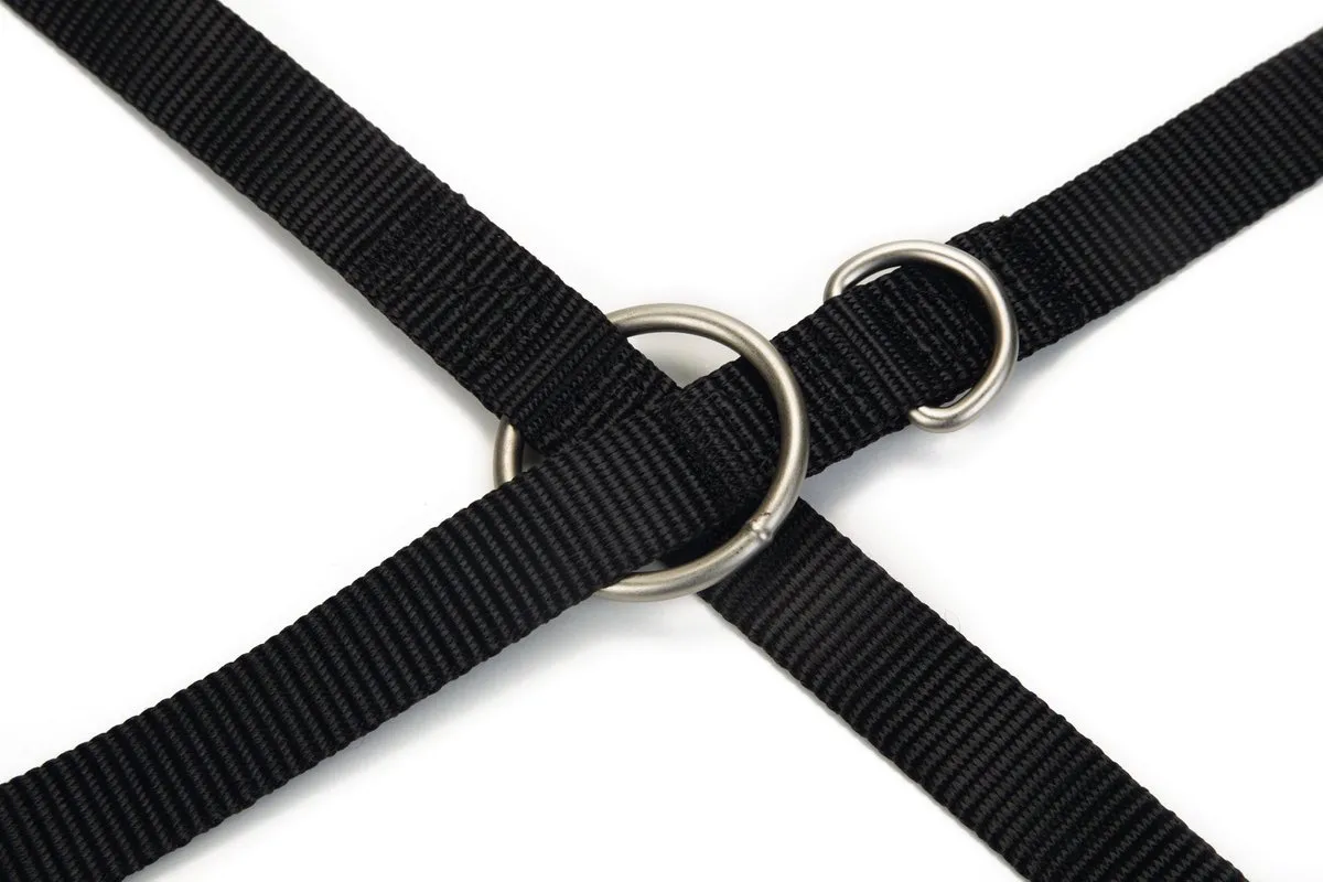 Beeztees Uni Hondenriem - 200cm x 20mm