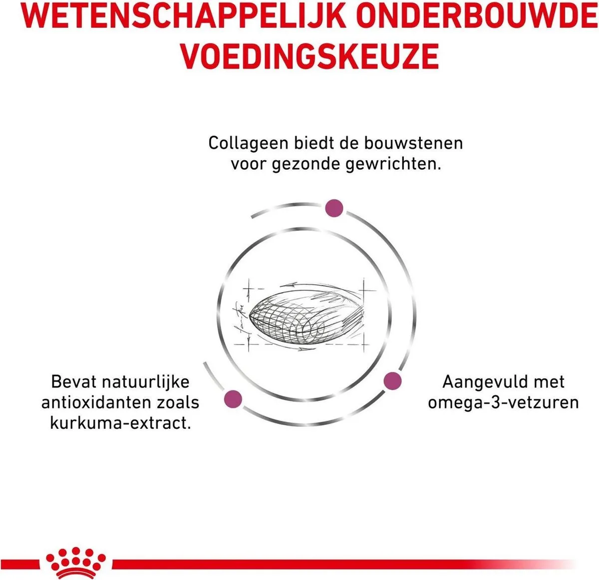 Royal Canin Veterinary Diet Mobility C2P Hondenvoer 2kg - afbeelding 6 van 6