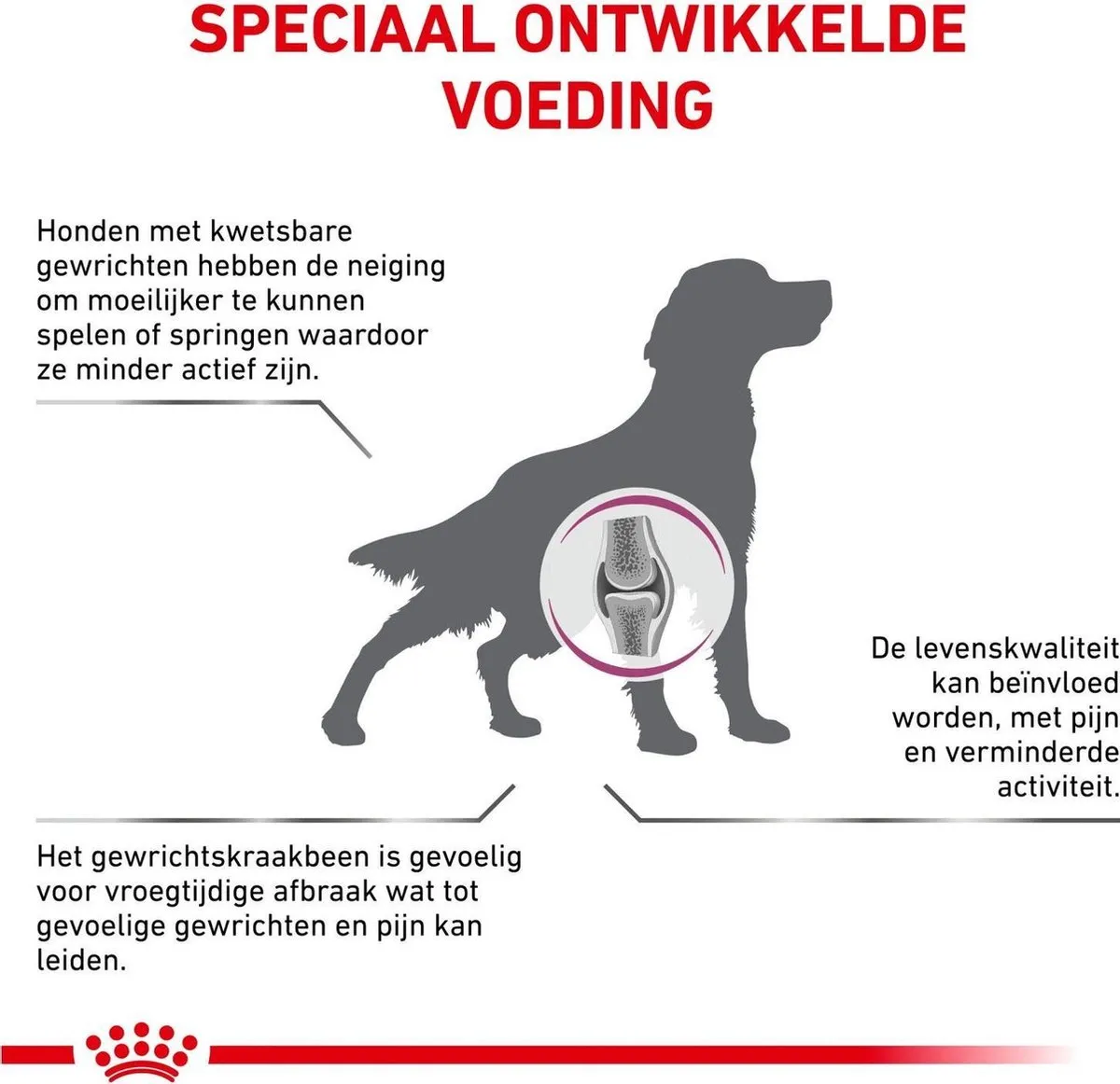 Royal Canin Mobility C2P - Hondenvoer - 2 kg
