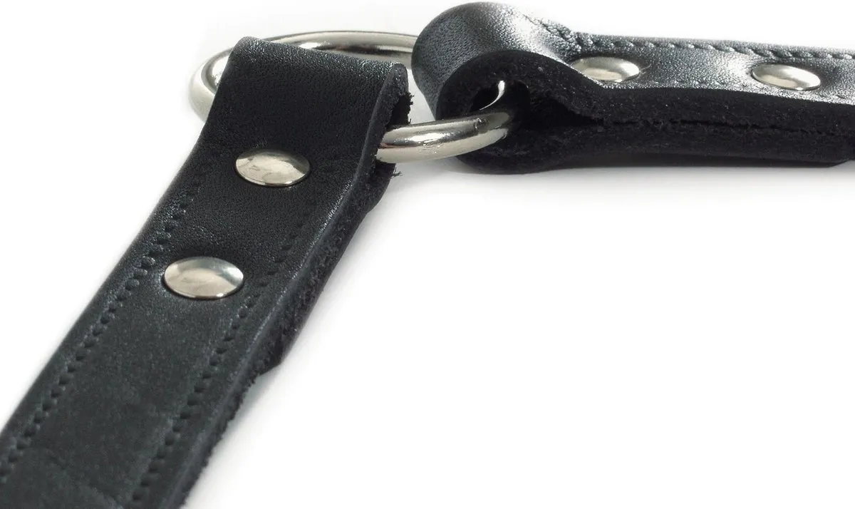 Beeztees Koppelstuk 2 Hondenriem - Zwart 30x12cm