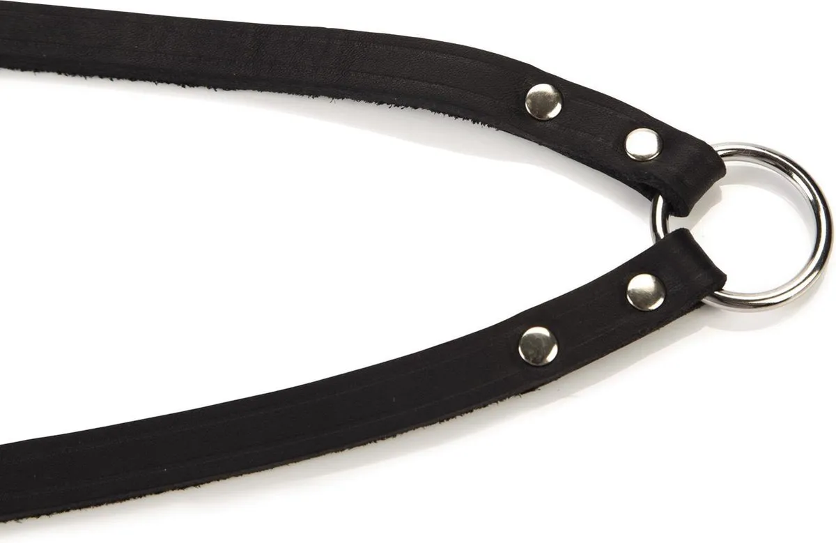 Beeztees Koppelstuk 2 Hondenriem - Zwart 30x12cm