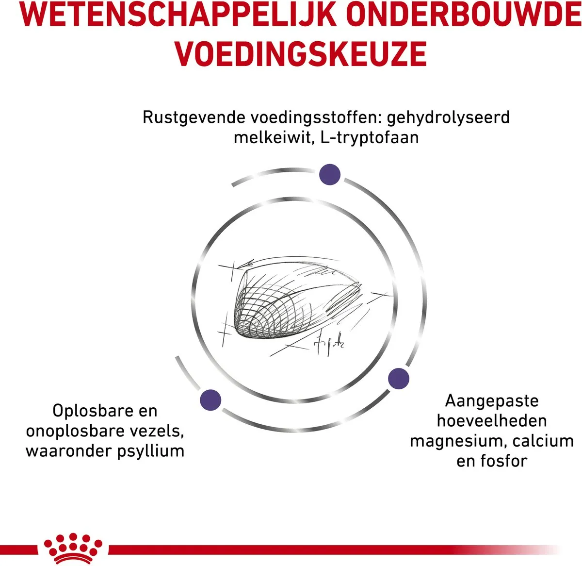 Royal Canin Calm Kattenvoer 4kg