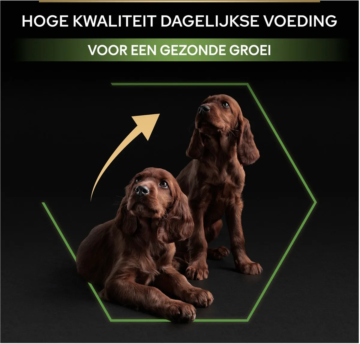 Pro Plan Large Athletic Puppy Hondenvoer Kip 12kg