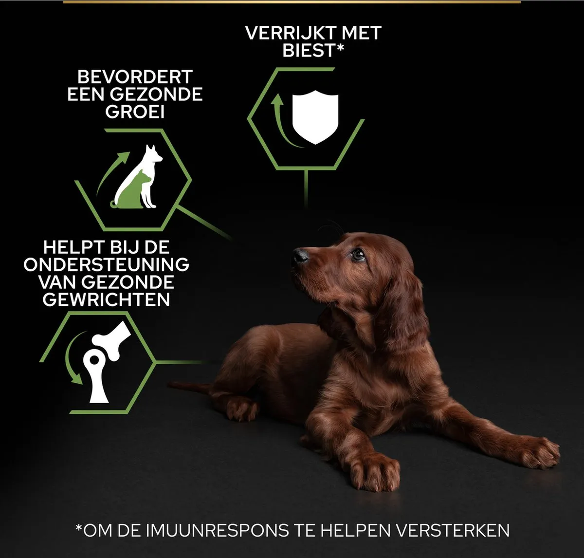 Pro Plan Large Athletic Puppy Hondenvoer Kip 12kg