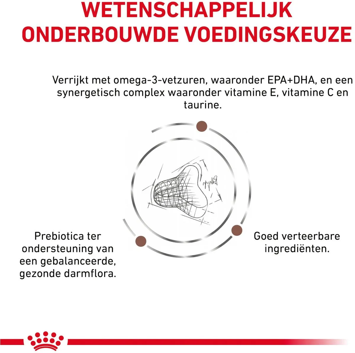 Royal Canin Veterinary Diet Fibre Response Kattenvoer 400g