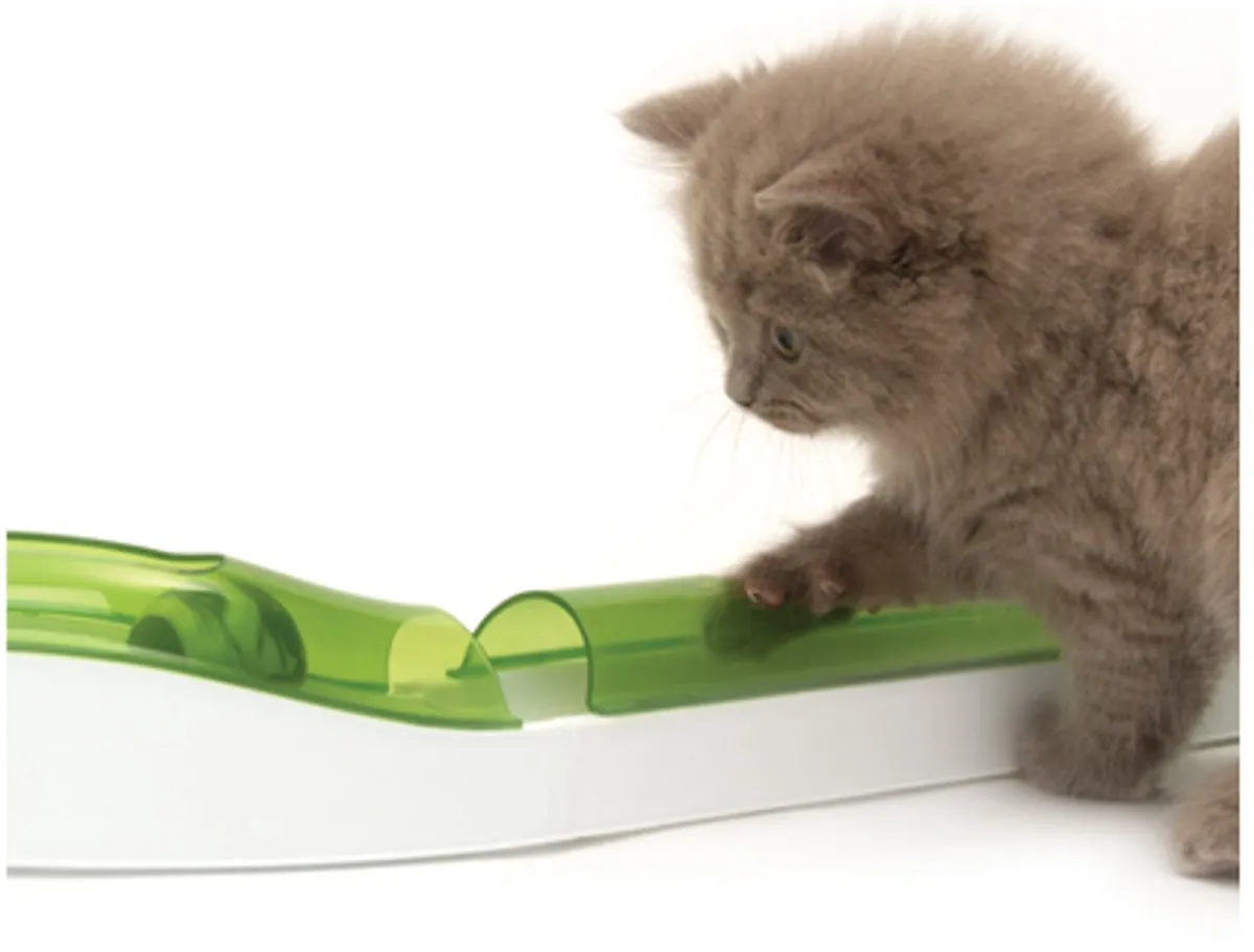 Catit Senses 2.0 Super Circuit Kattenspeelgoed - Groen