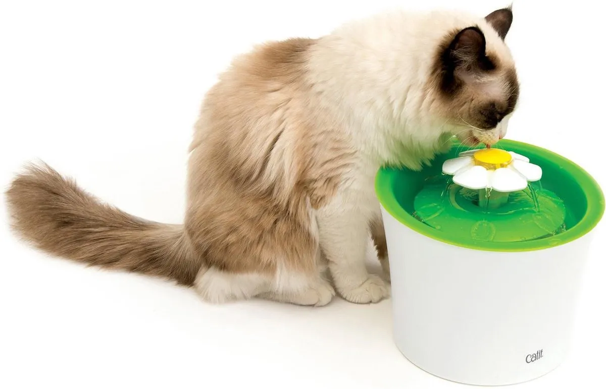 Catit Senses 2.0 Drinkfontein Bloem - 3L - Wit/Groen - afbeelding 6 van 6