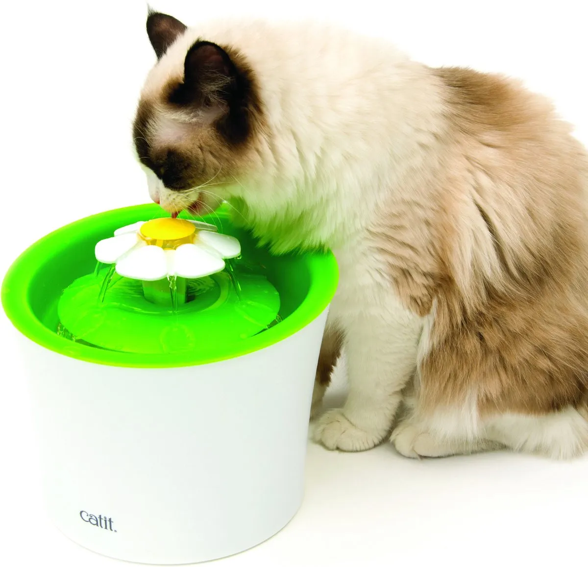 Catit Senses 2.0 Drinkfontein Bloem - 3L - Wit/Groen