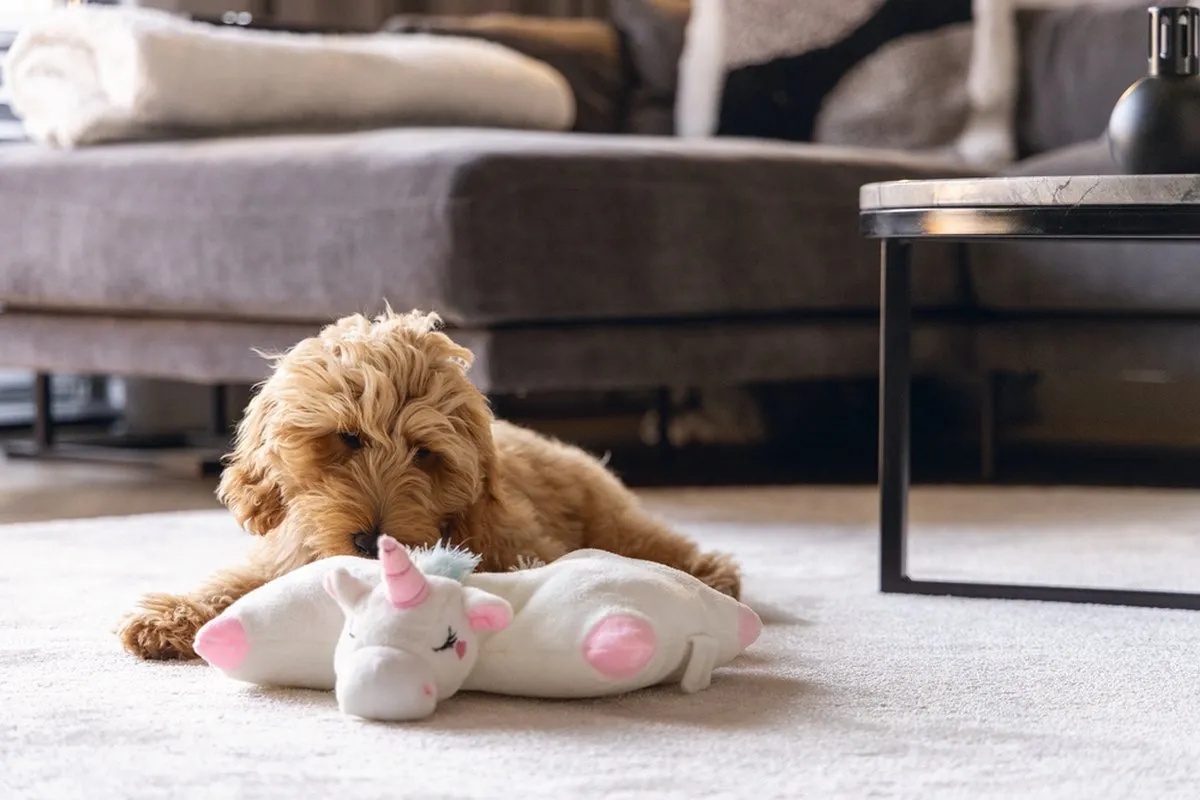 Beeztees Puppy Warmteknuffel - Pluche Hondenspeelgoed 34x33x12cm