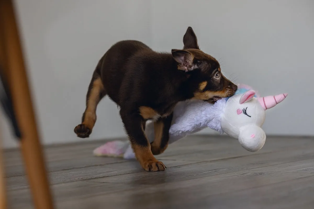 Beeztees Puppy Flatino Unicorn Lo Hondenspeelgoed - Wit