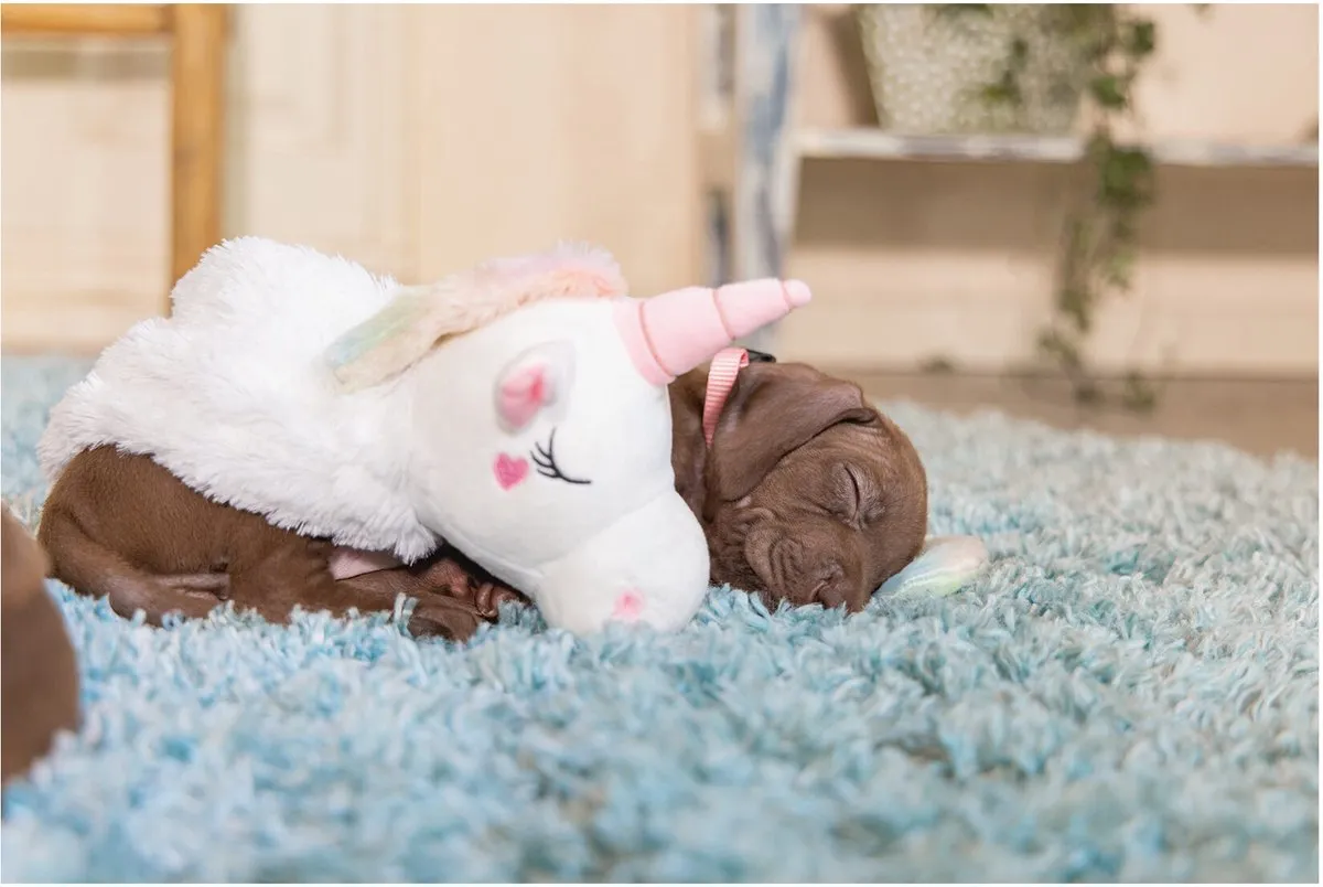 Beeztees Puppy Flatino Unicorn Lo Hondenspeelgoed - Wit - afbeelding 6 van 6