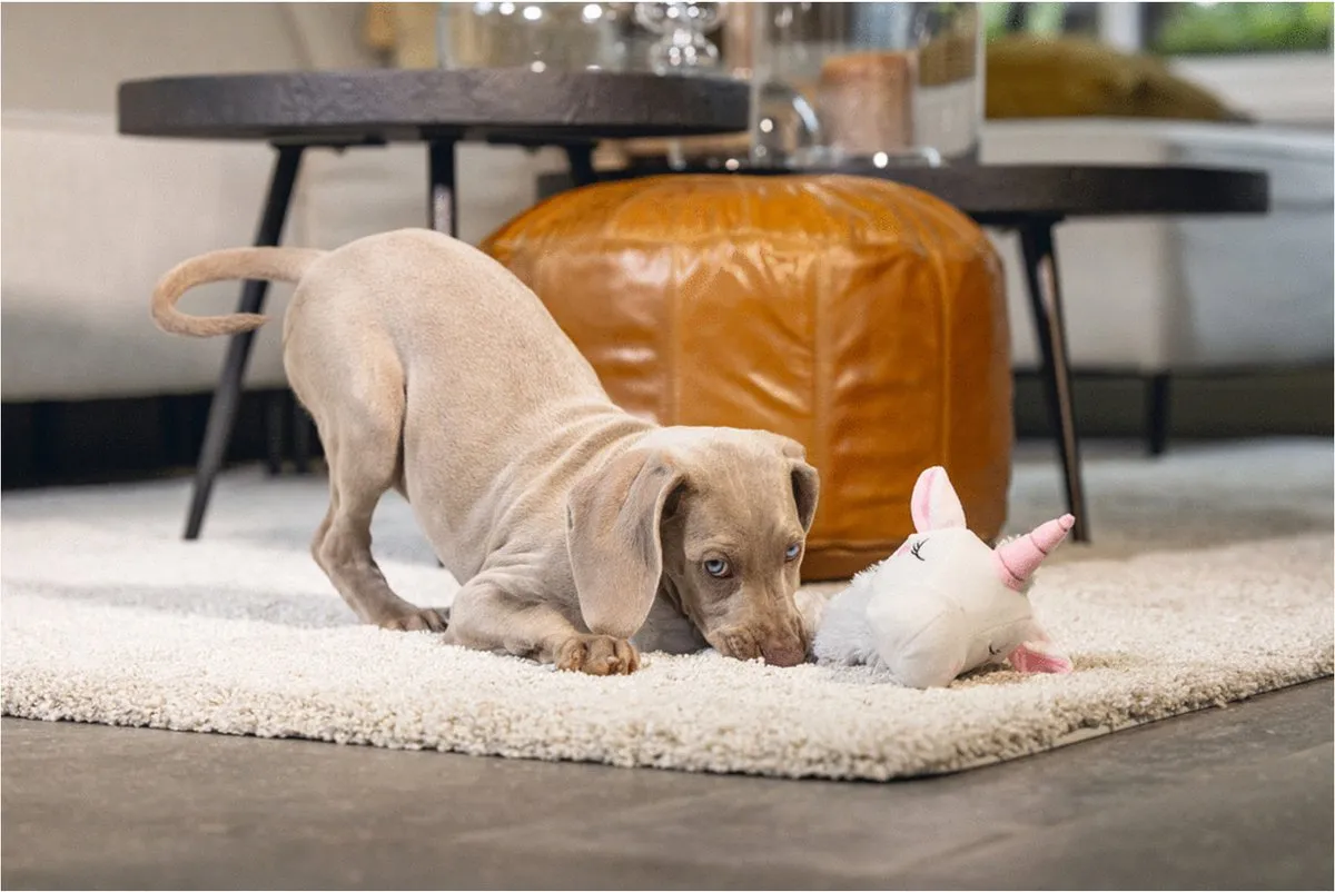 Beeztees Puppy Flatino Unicorn Lo Hondenspeelgoed - Wit