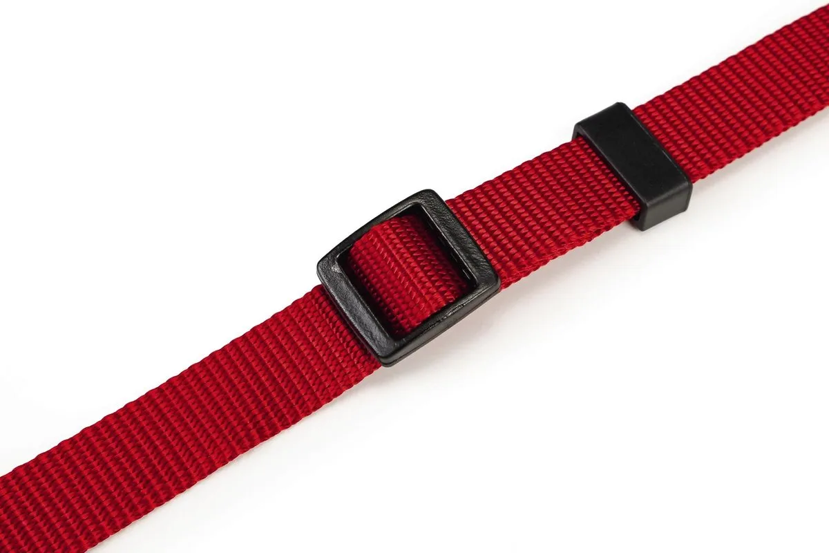 Beeztees Halsband Hond Rood 35-55cm x 20mm