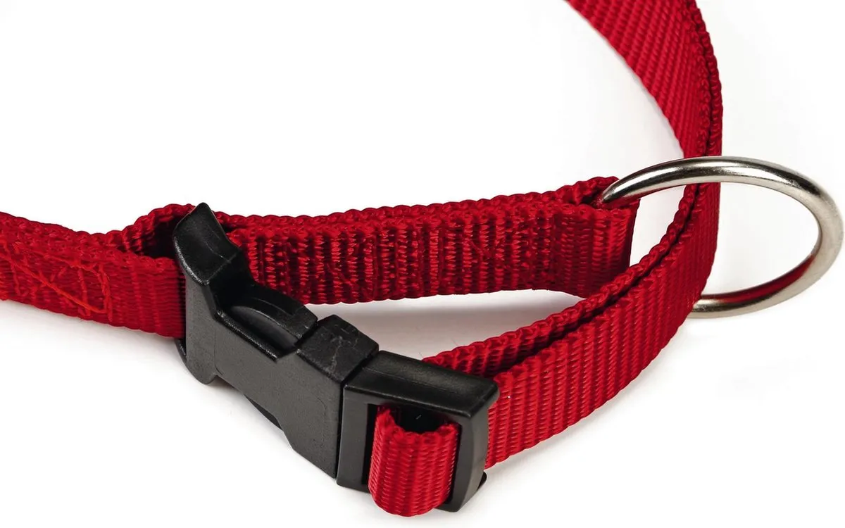 Beeztees Halsband Hond Rood 35-55cm x 20mm