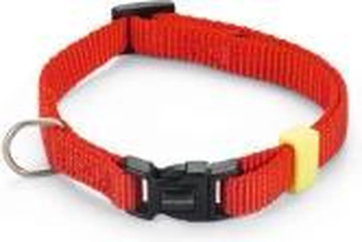 Beeztees Nylon Halsband Uni Rood 20-30cm x 10mm