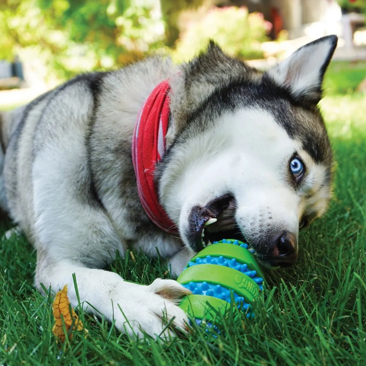 KONG Squeezz Goomz Bal Honden Speelgoed - Groen 9cm