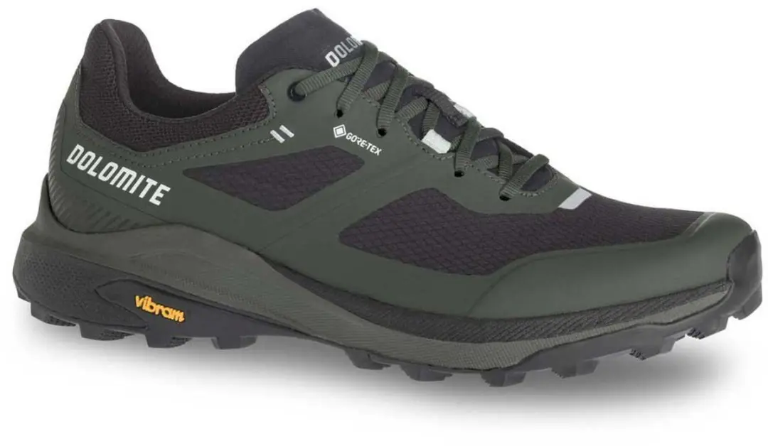 Dolomite Nibelia Gore-tex® Wandelschoenen Groen EU 49 Man
