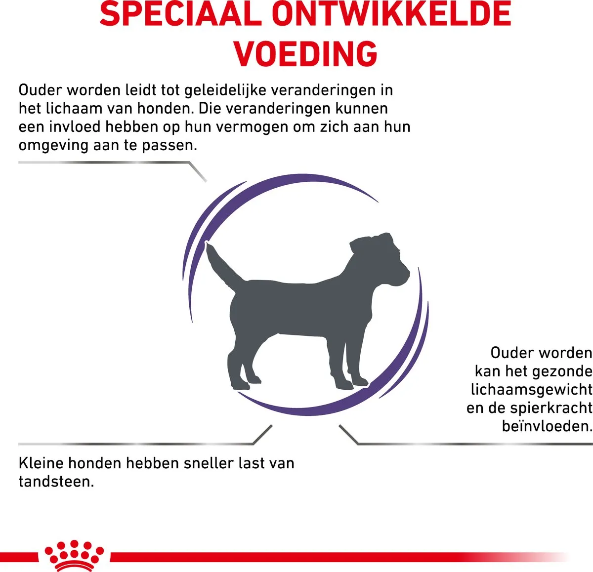 Royal Canin Veterinary Diet Small Dog Senior Consult Mature - Hondenvoer - 8 kg