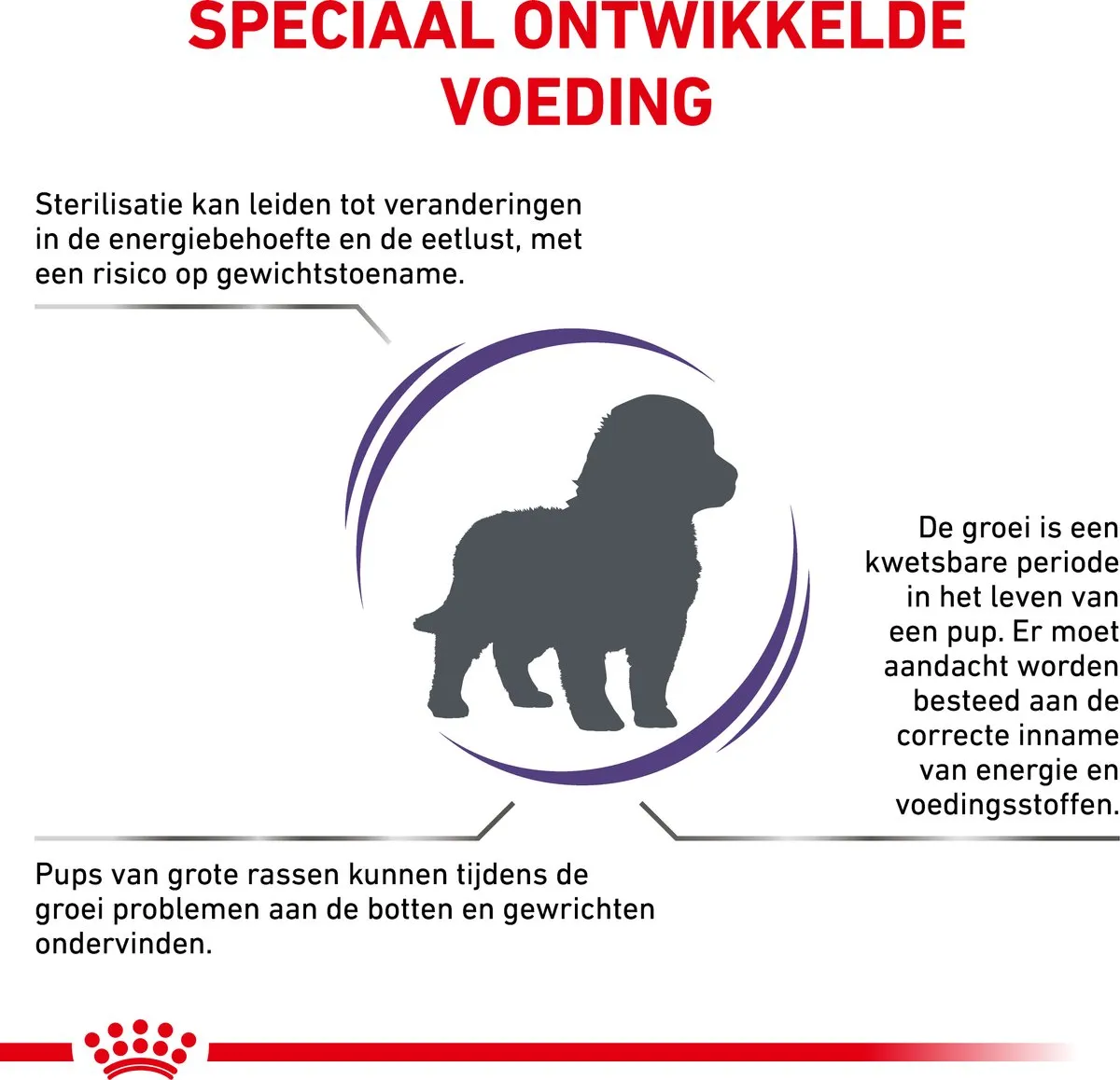 Royal Canin Veterinary Diet Large Dog Neutered Junior Hondenvoer 12kg