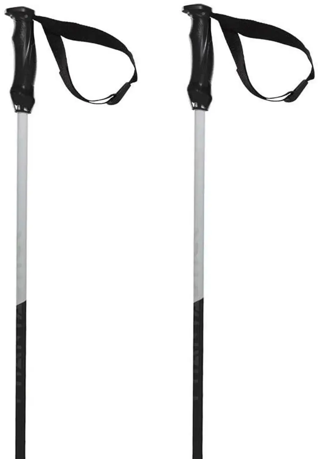 Volkl Phantastick Iii Stokken Zilver 125 cm