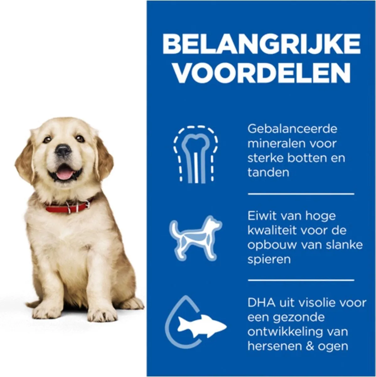 Hill's Canine Puppy Large Breed Hondenvoer 12kg - Kip