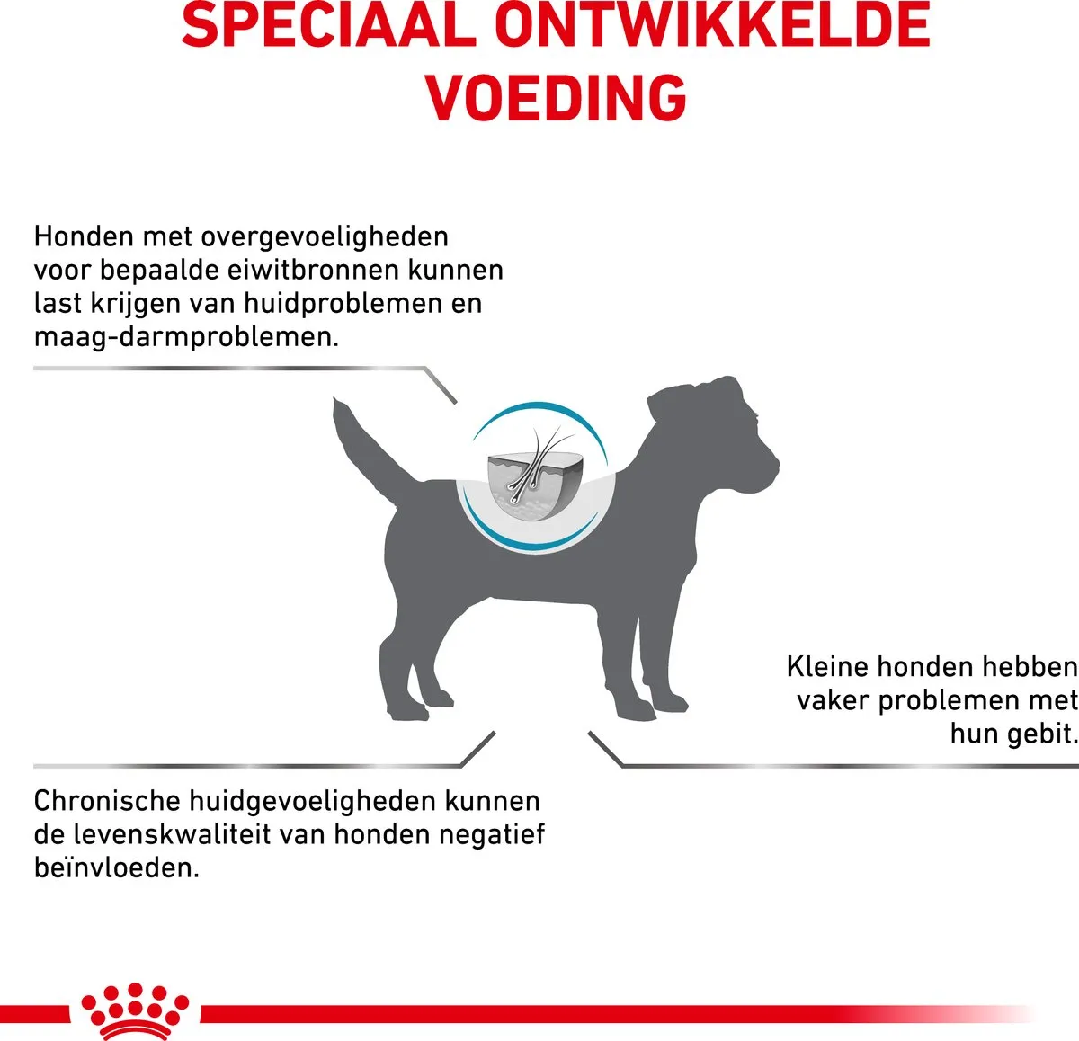 Royal Canin Veterinary Diet Anallergenic Hondenvoer 1.5kg