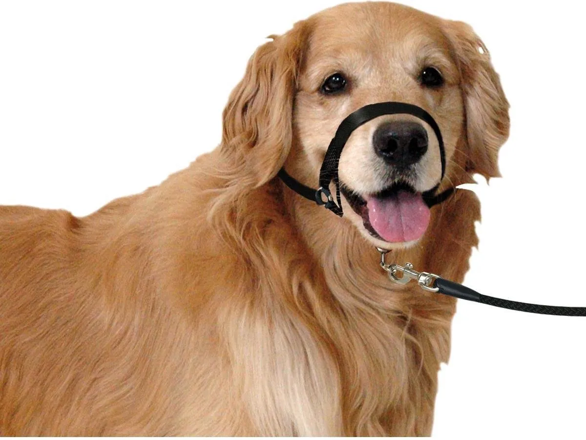 Flamingo Easy Leader Halsband Honden Zwart M 42-55cm