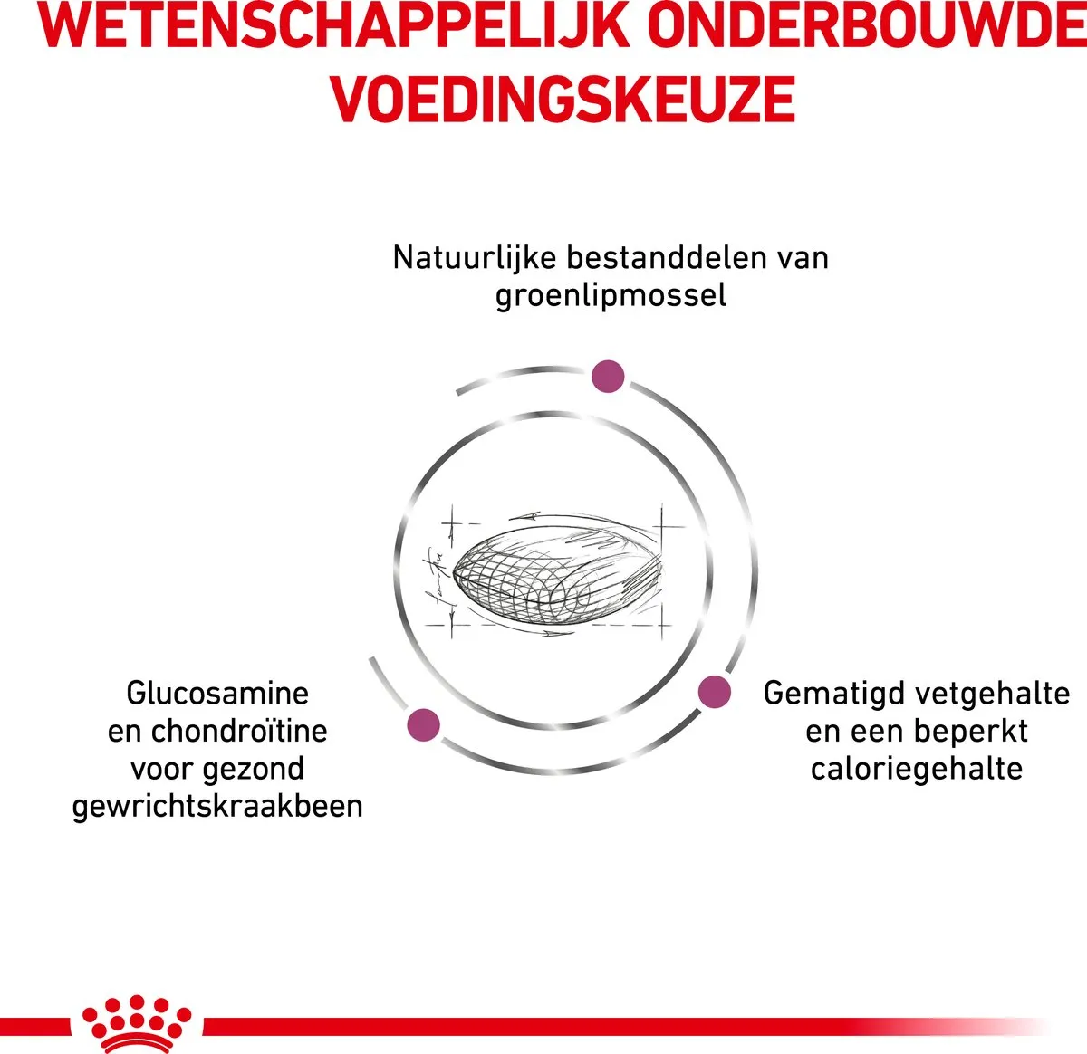 Royal Canin Veterinary Diet Mobility Support Hondenvoer 2kg