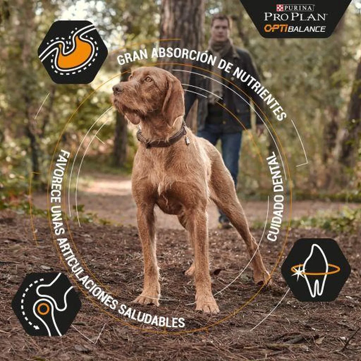 Pro Plan Large Adult Hondenvoer Rood Rund 16.5kg