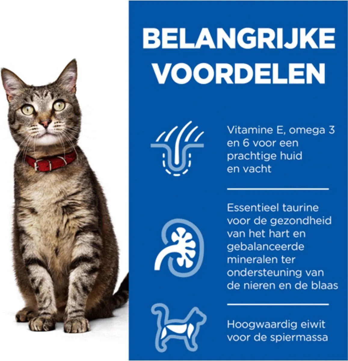 Hill's Science Plan Kattenvoer Adult Multipack - 12x85g