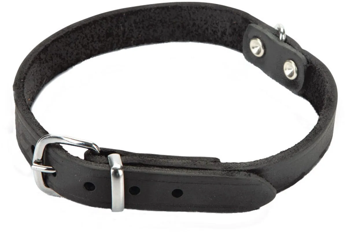 Beeztees Halsband Hond Leer - Zwart - 37,5-46,5cm x 20mm