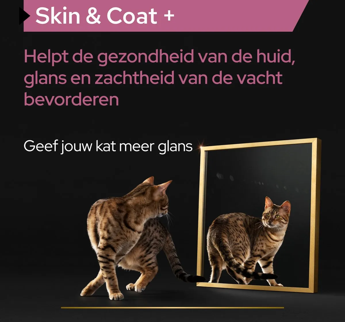 Pro Plan Kat Skin&Coat Zalmolie 150ml