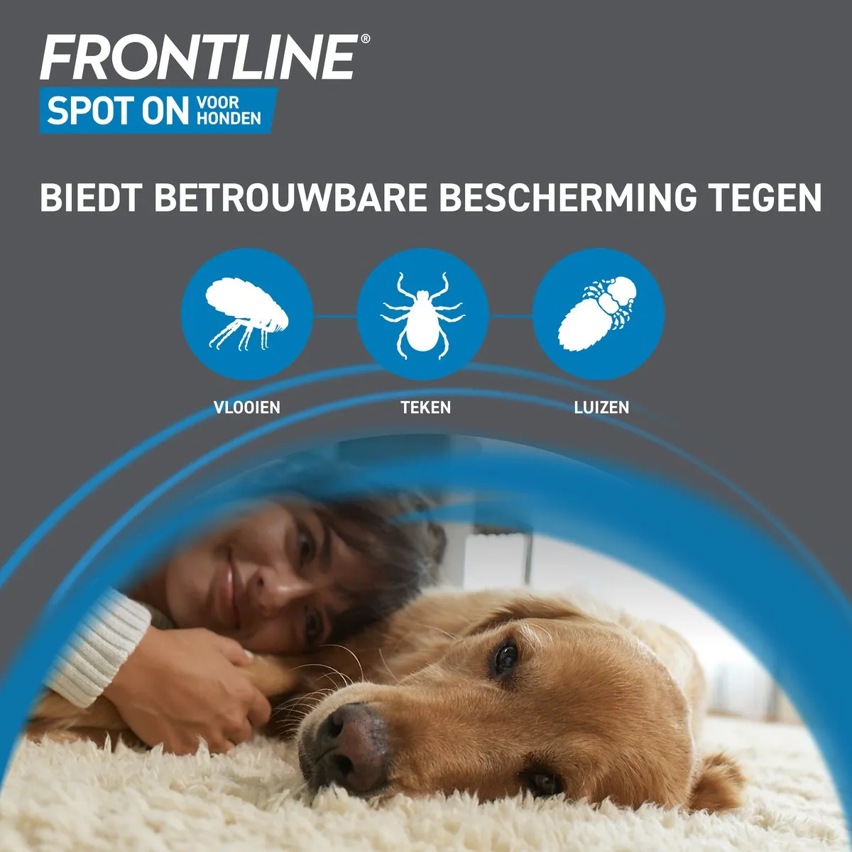 Frontline Spot On Hond M 12 Pipetten