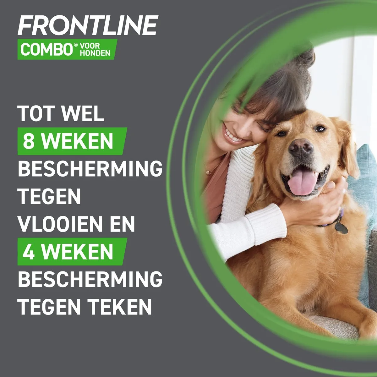 Frontline Combo Hond S - 12 Pipetten