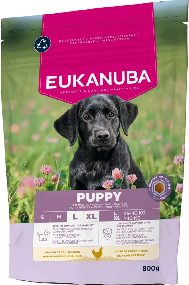Eukanuba Life Care Dog Puppy Large Kip