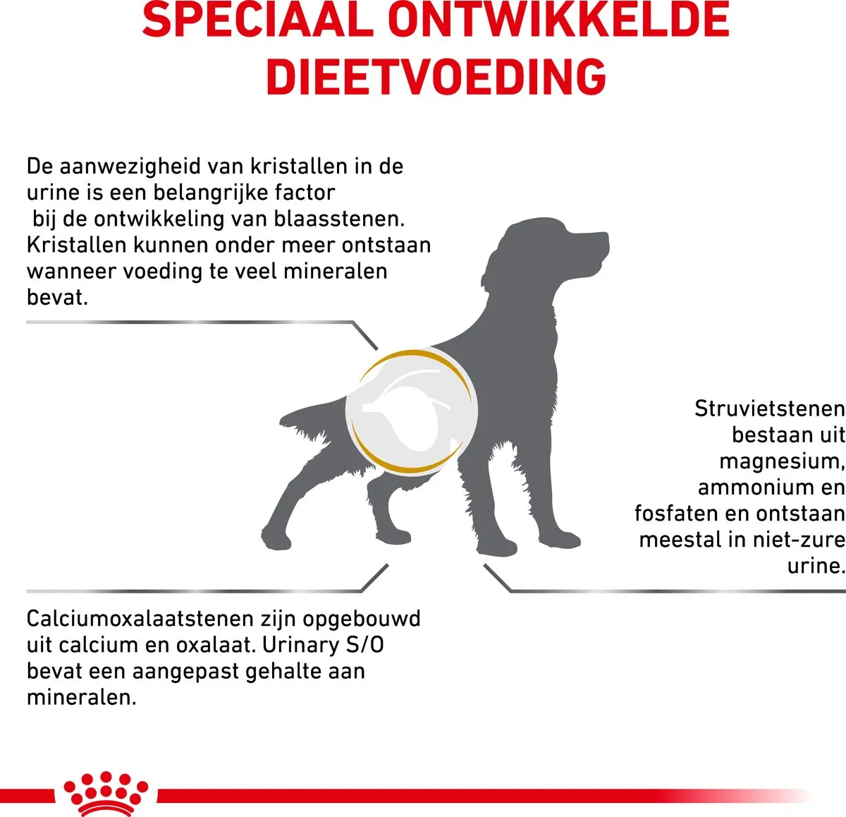Royal Canin Veterinary Diet Urinary S/O Hondenvoer 2kg