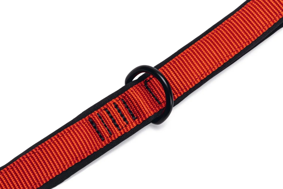 Beeztees Parinca Premium Hondenriem - Rood 120cm x 20mm