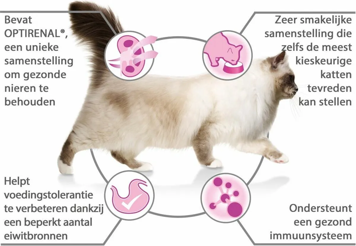 Pro Plan Delicate Kalkoen Kattenvoer 12kg (4x3kg)