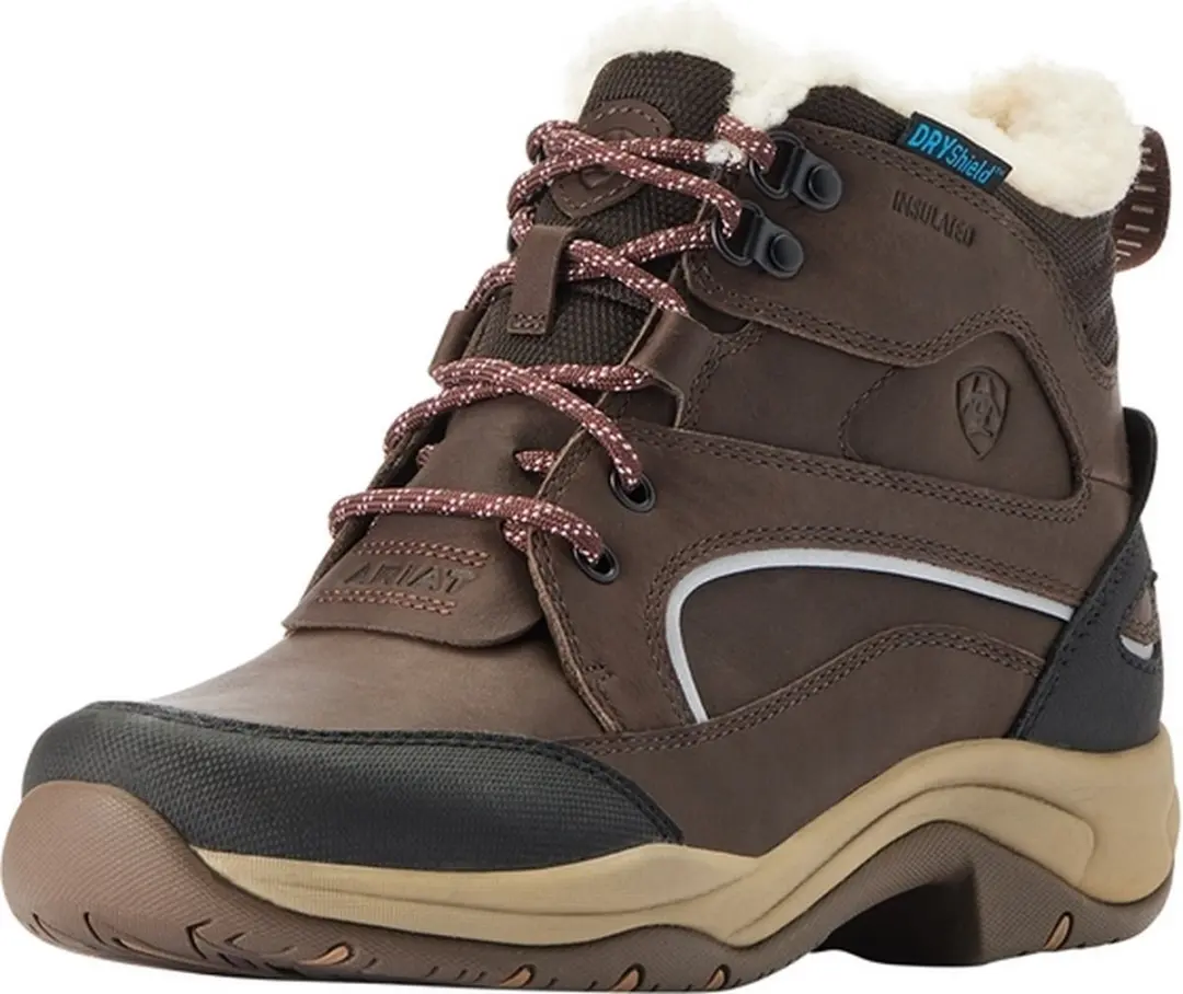 Dames stal schoenen Ariat Telluride imperméables & isolées