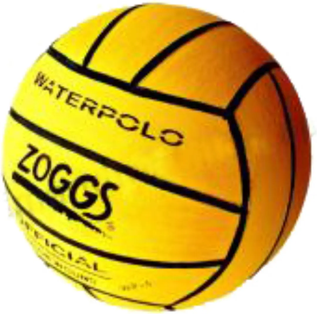 Zoggs